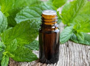 Gallbladder Disease & Herbal Medicine