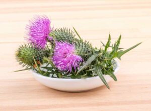 Gallbladder Disease & Herbal Medicine